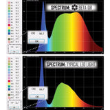 Beta QRv2 Aluminum - Taschenlampe