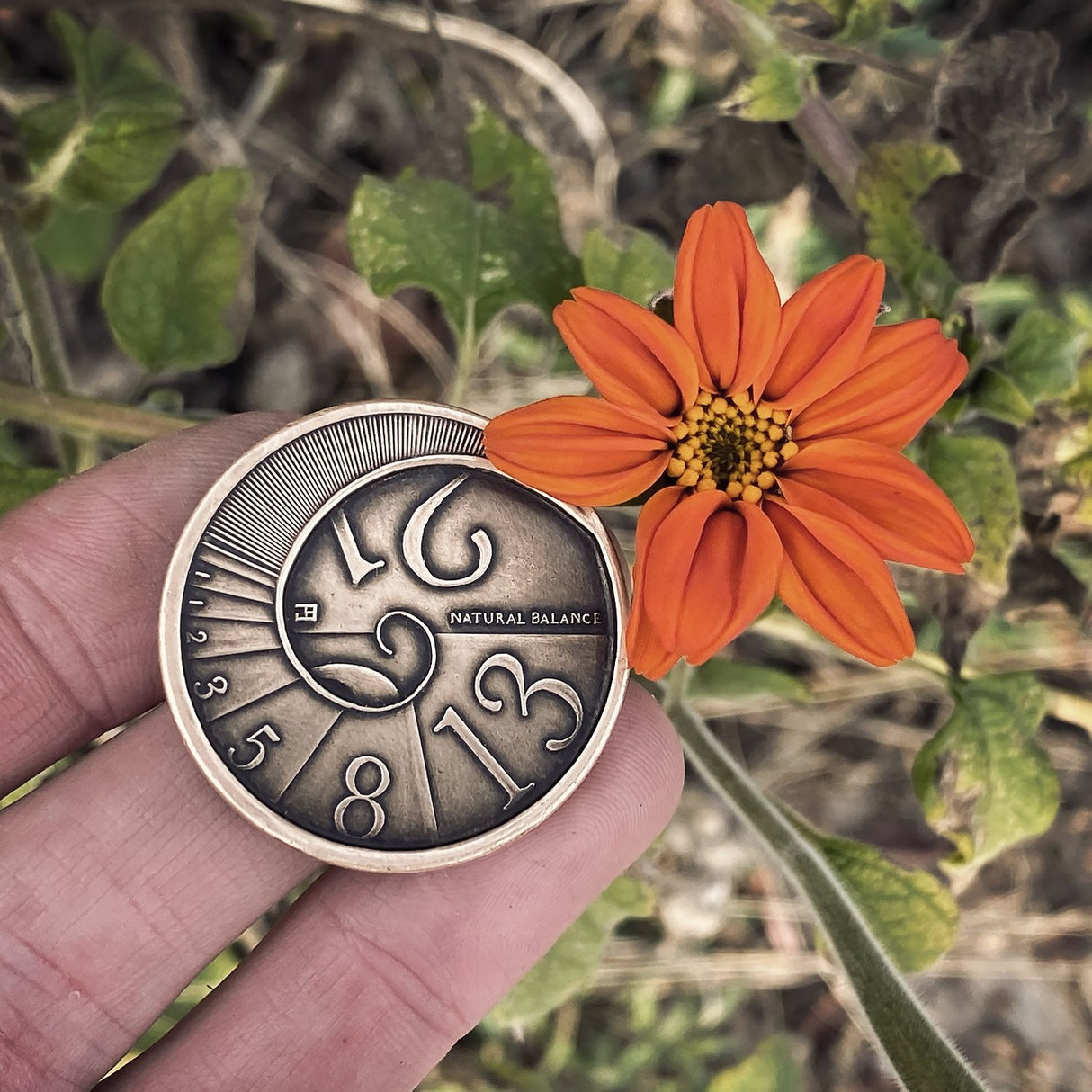 Fibonacci Coin