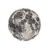 Full Moon Coin