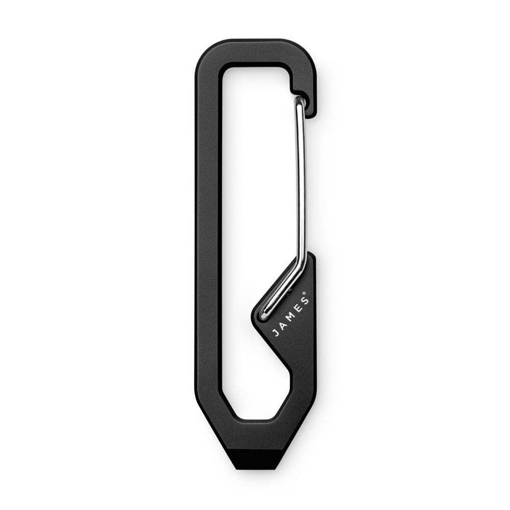 Holcombe Steel Carabiner