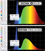 Beta QRv3 Titanium Flashlight