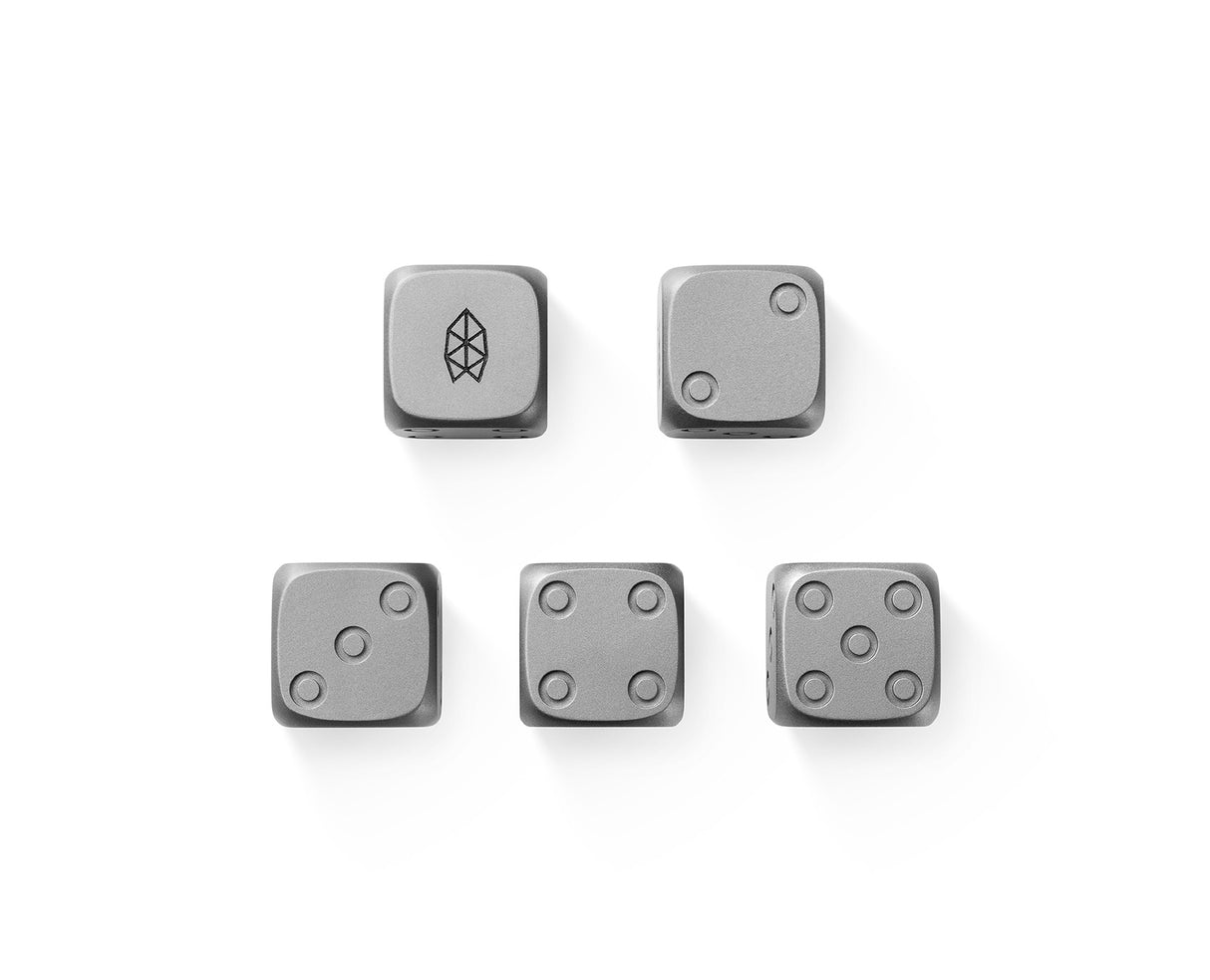 TJB Titanium Dice Set