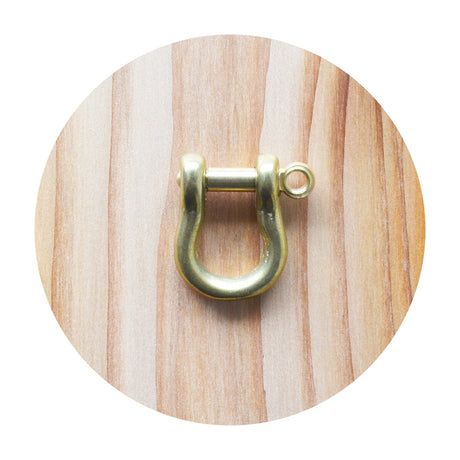 Shackle