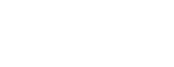 Wesn logo